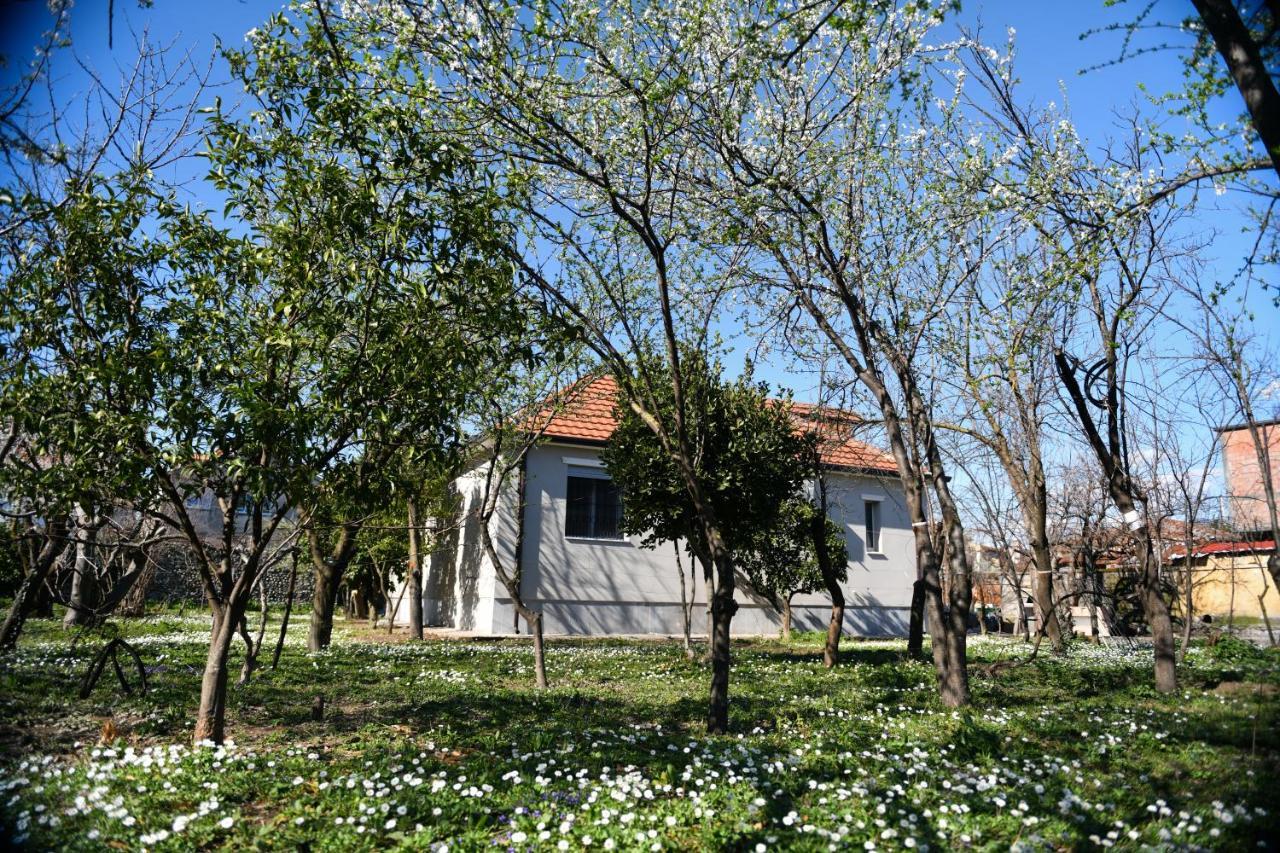 Nicolaus Hidden Gem * Shkoder