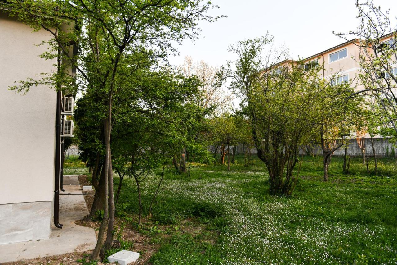 Nicolaus Hidden Gem Holiday home *