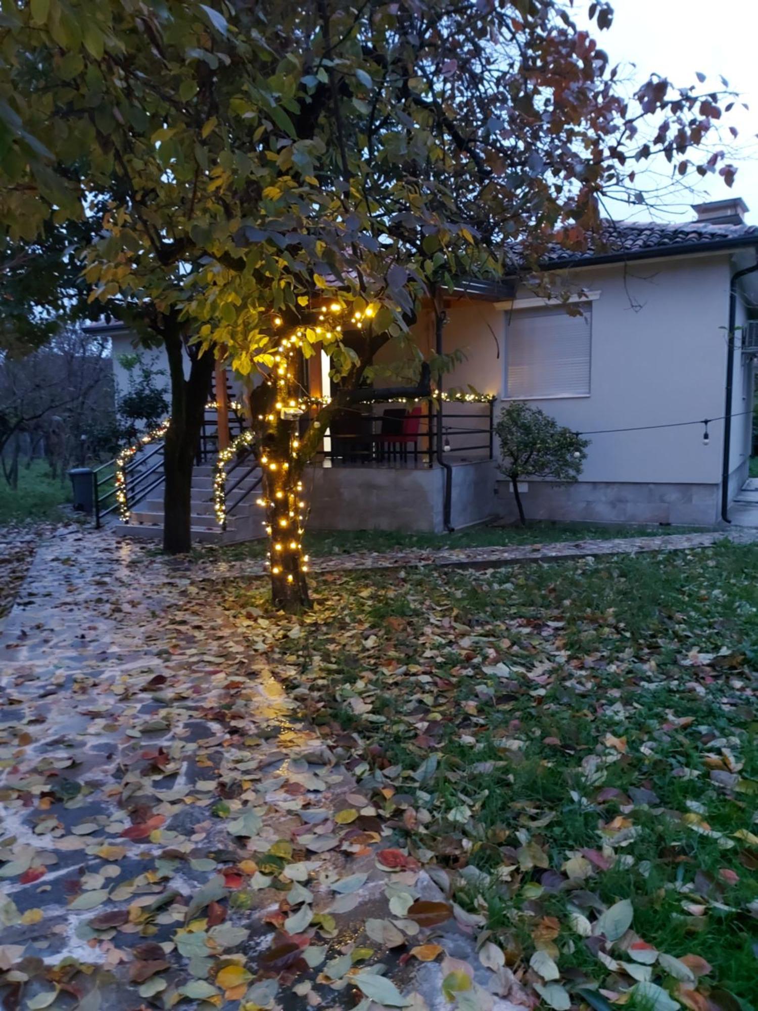 Holiday home Nicolaus Hidden Gem
