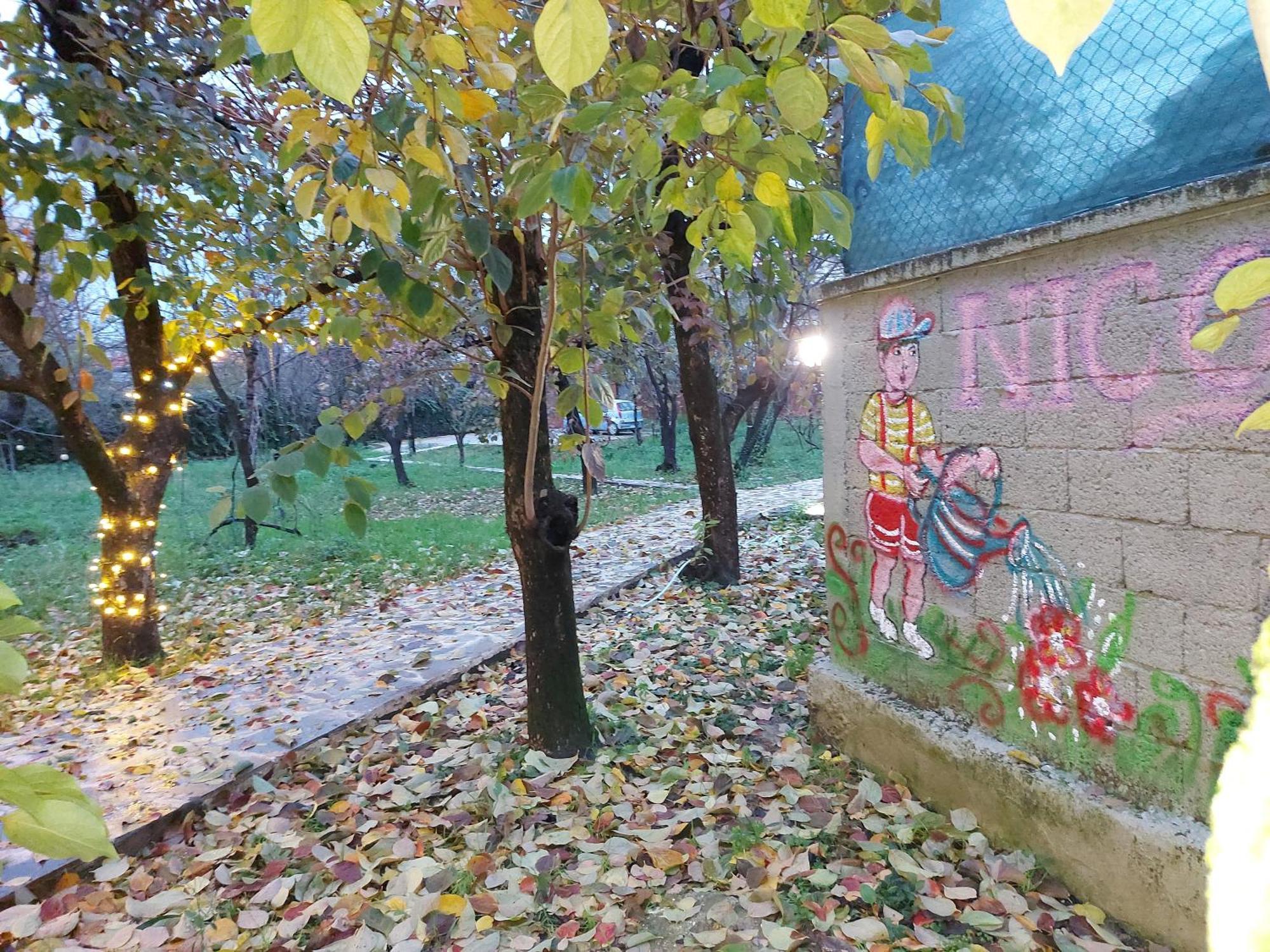 Nicolaus Hidden Gem Shkoder