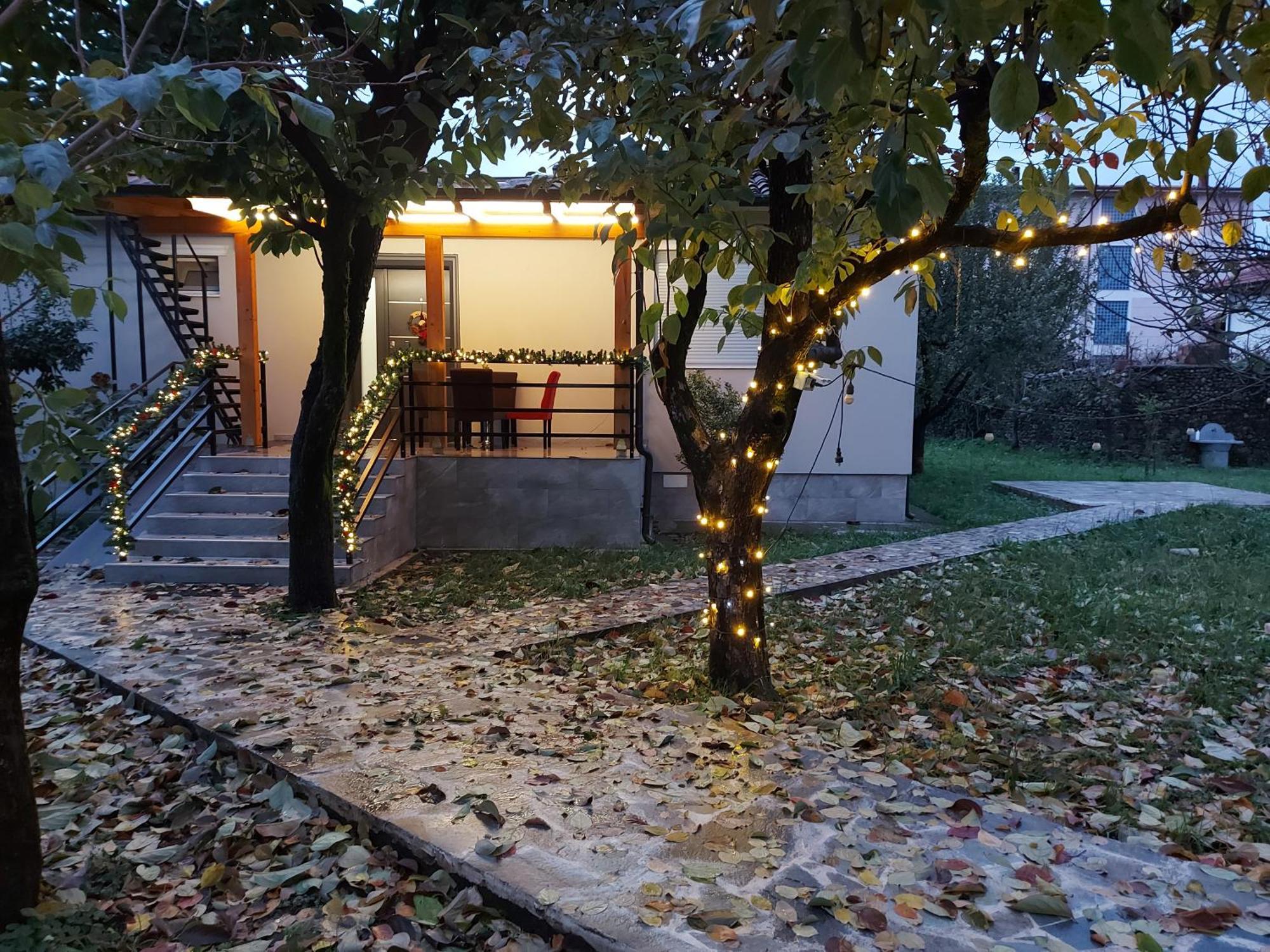 Nicolaus Hidden Gem Holiday home *