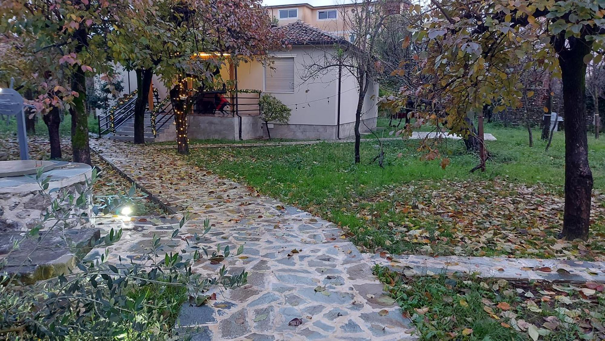Nicolaus Hidden Gem Shkoder