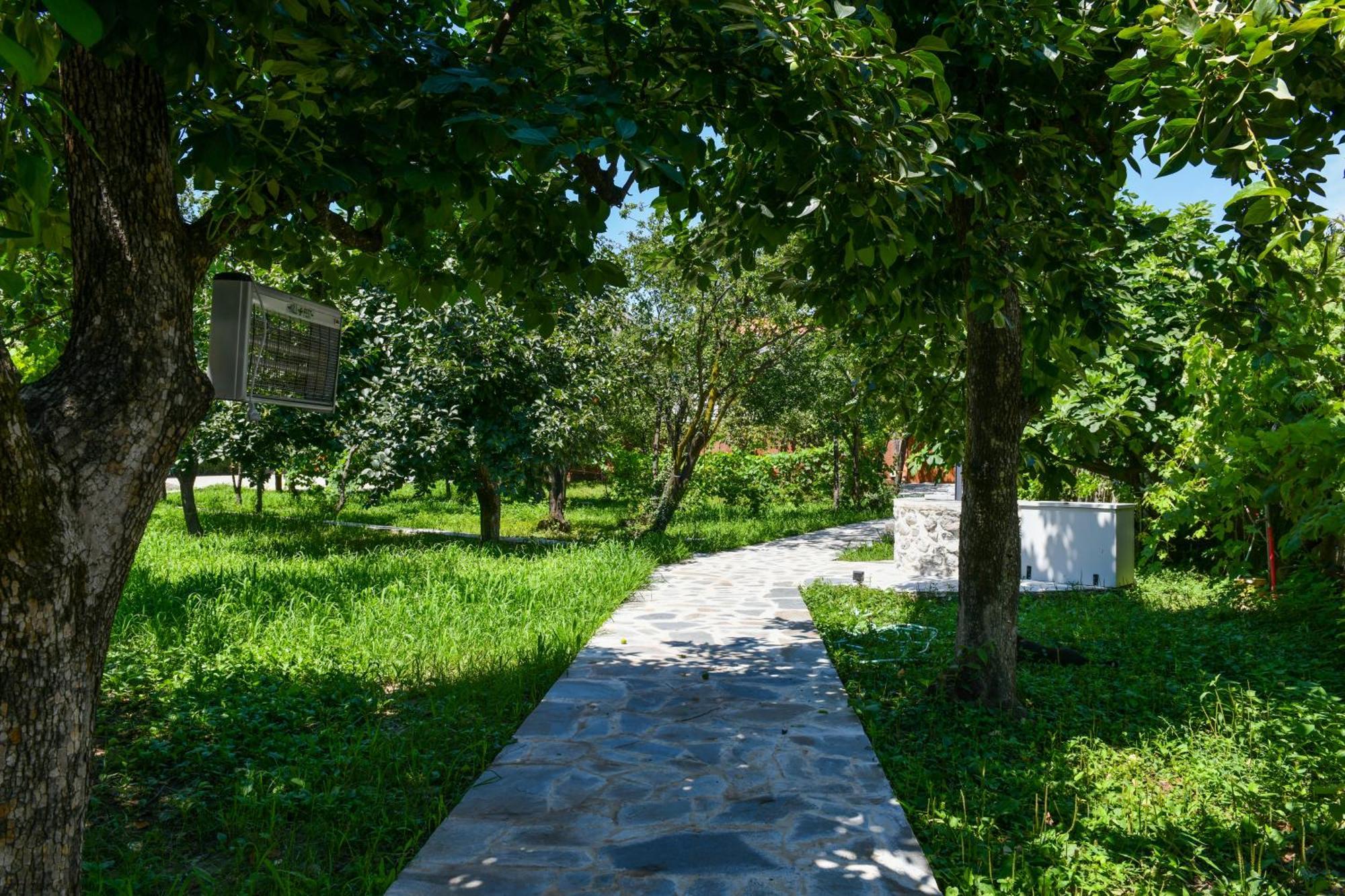 Holiday home Nicolaus Hidden Gem Shkoder