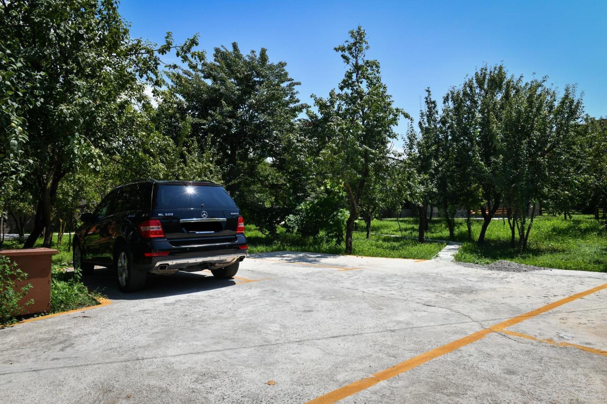 Nicolaus Hidden Gem Shkoder