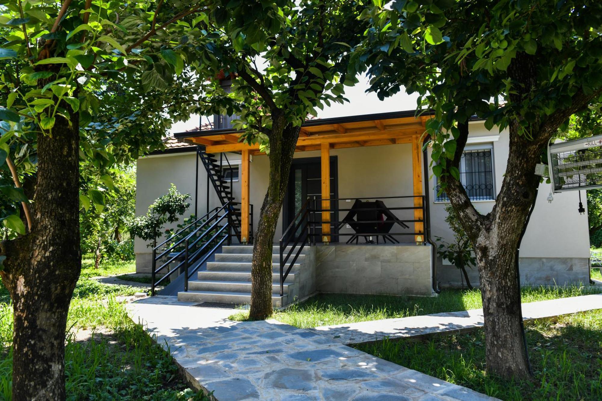 Nicolaus Hidden Gem Shkoder